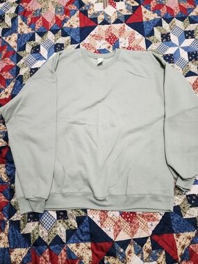 Hanes Men's Crewneck Sweater in Light Sage